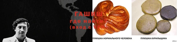 гидропоника Алзамай