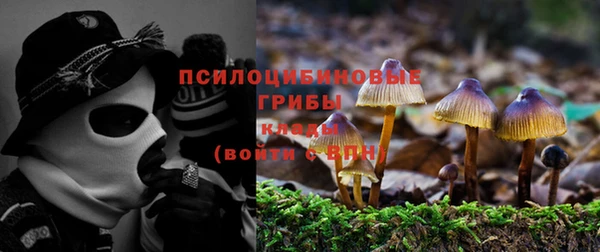apvp Алексин